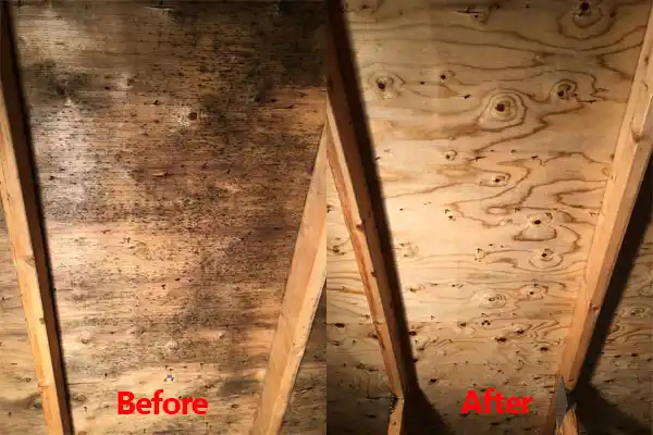 water damage restoration service Broussard